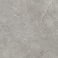 Xlight Premium 120x120 Fiori Di Bosco Nature (6 мм)