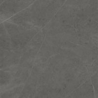 Xlight 150x150 Liem Grey Polished (9мм)