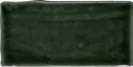 Atelier Graphite Glossy 7,5x15