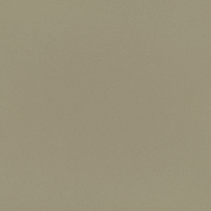 Neo Beige Nature 59,6x59,6 1 Neo Beige Nature 59,6x59,6
