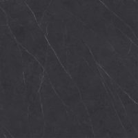 Xlight Premium 120x120 Liem Black Nature (6 мм)