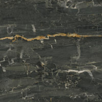 Leonardo Black Satin 60x60