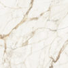 Xlight Premium 120x120 Calacatta Gold Nature