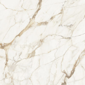 Xlight Premium 120x120 Calacatta Gold Nature