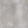 Cover Silver Nature 80x80