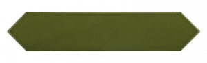 EQUIPE ARROW Green Kelp