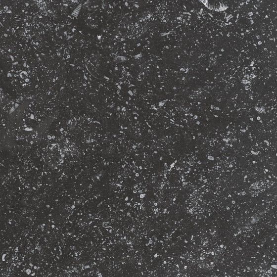 EQUIPE CORALSTONE Black
