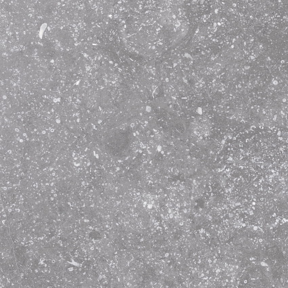 EQUIPE CORALSTONE Grey